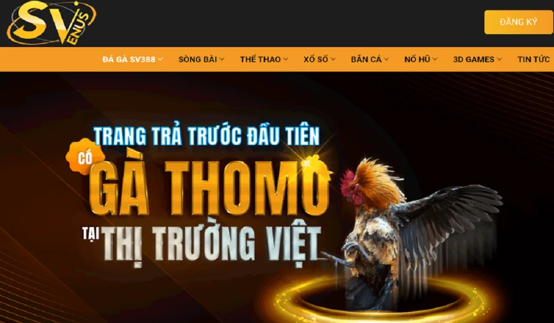 Thomo SV388 nằm trong top 10 nhà cái đá gà uy tín hàng đầu Việt Nam